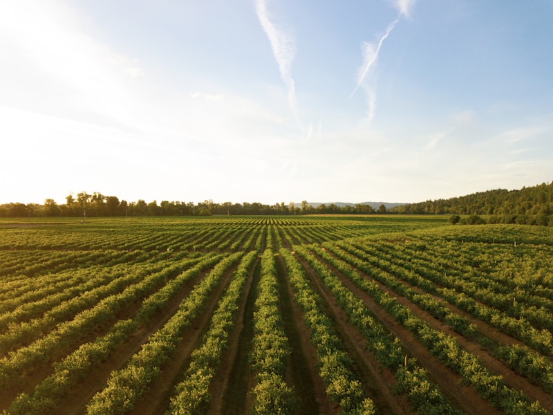 Subscription based Agri Products